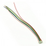 Molex Jumper 7 Wire Assembly -1.25mm